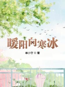 北向暖阳,探寻冬日里的温暖之光