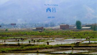 踏破枷锁随风去(山花终将灿烂),踏破枷锁随风去的生命旅程