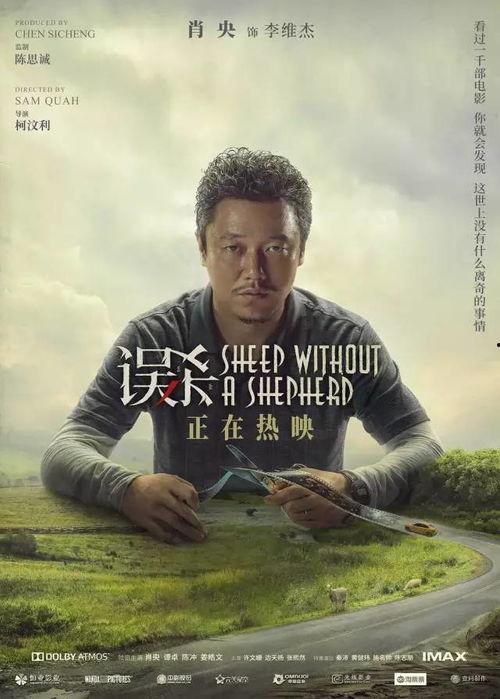 误杀记忆,揭开真相的悬疑之旅