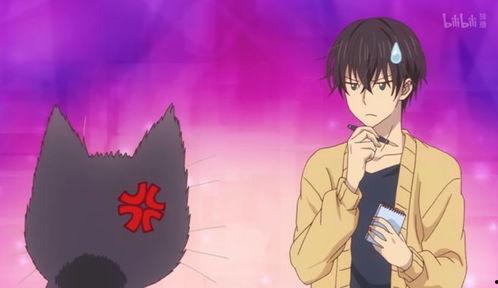 同居人是猫 同居人,我与猫咪的温馨日常