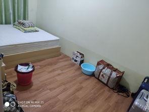 平摊公寓,共享空间，共创宜居生活新体验